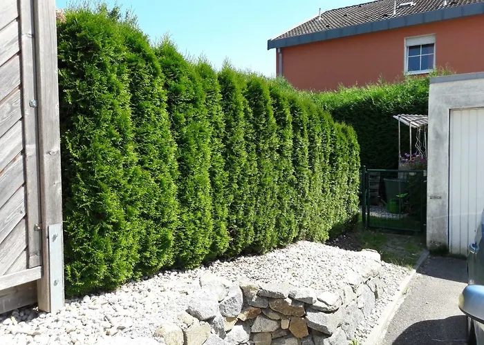 Haus Engler Apartamento