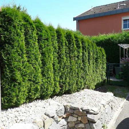 Haus Engler Апартаменти